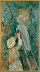 The Cherry Pickers